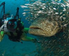 Parque dos Meros – PR