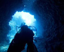 Relato de Mergulho em Fernando de Noronha com fotos
